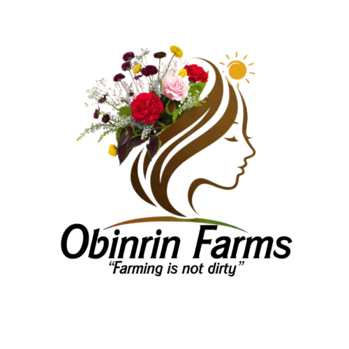 Obinrin Farms