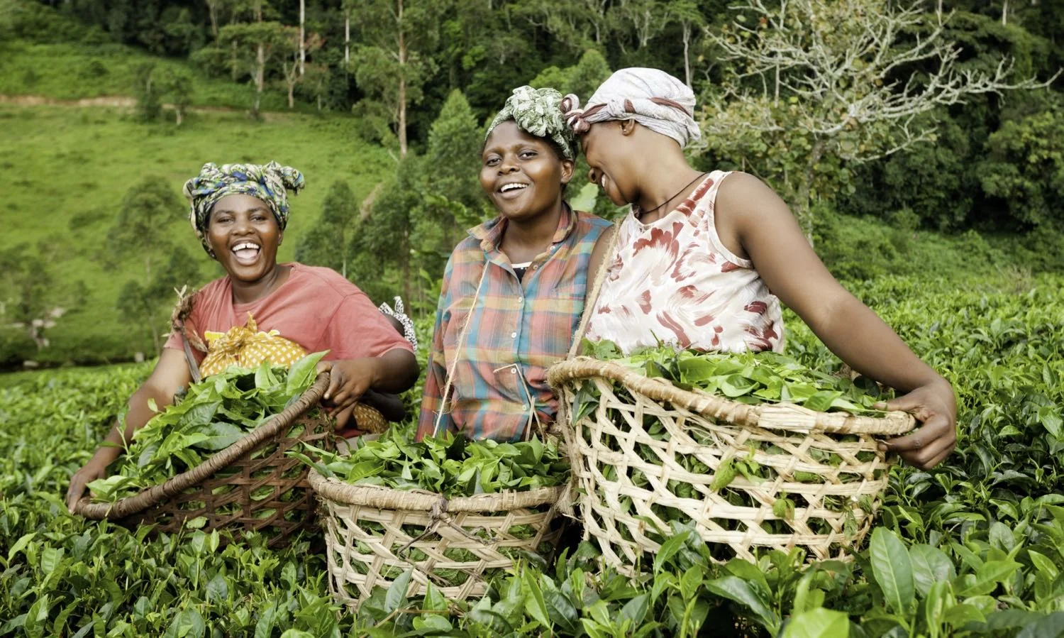 Women in Agriculture: Why the Future of Farming Is Female