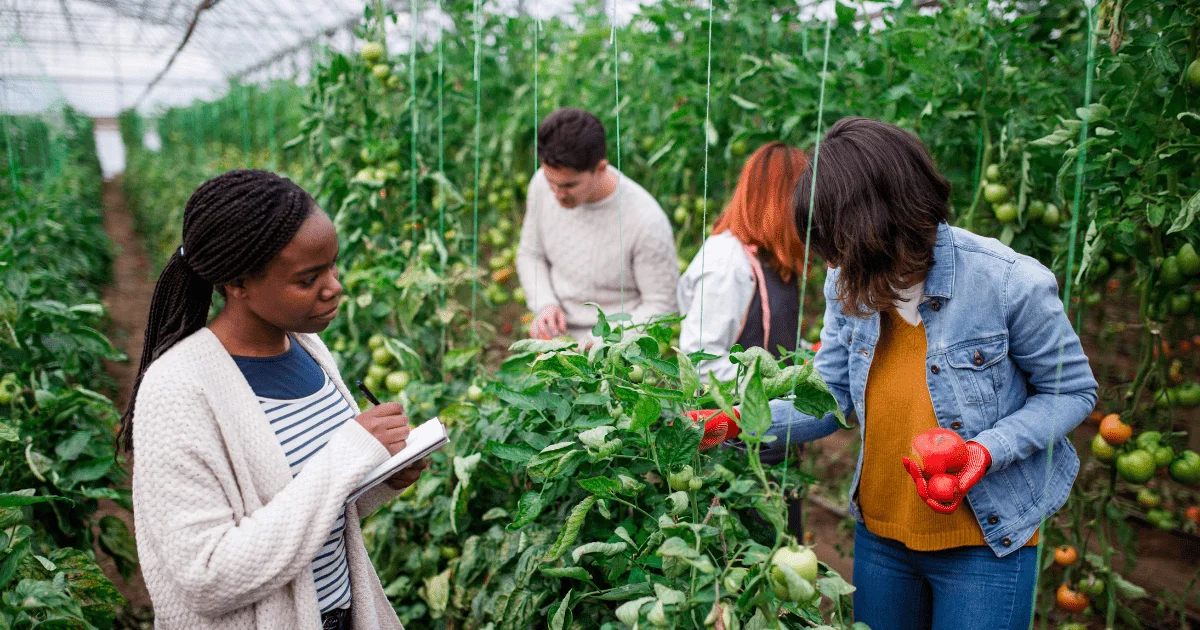 Agribusiness Ideas for Women Who Want Financial Independence